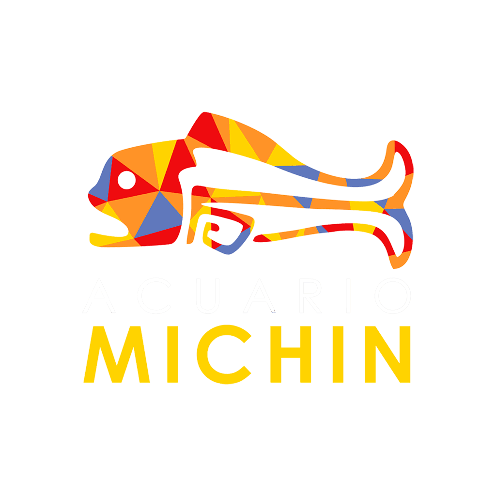 Acuario Michin